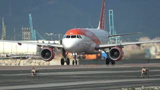 Next to easyJet A319 as it lands at Gibraltar [upl. by Teddie299]