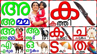 Learn Malayalam Consonants വ്യഞ്ജനം VyanjanamMalayalam Alphabet Malayalam AksharamalaPart2 [upl. by Shaff]