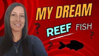 Adding and Acclimating my Dream Reef Fish to my Aquarium FerrariReef [upl. by Tasiana624]