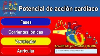 Potencial de acción cardíaco  Potencial de acción cardíaco fisiología [upl. by Timon]