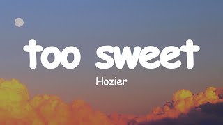 Hozier  Too Sweet Lyrics [upl. by Rotce]