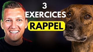 Apprendre le RAPPEL à Son Chien ou Chiot Facilement et Rapidement [upl. by Martie]