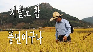 그러니깐 했어 안했어 feat 이상한 답 [upl. by Innad]