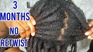 3 Months No Retwist On Locs  Heres What Happened [upl. by Notnerb72]