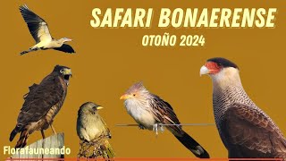 Safari Bonaerense otoño 2024 [upl. by Retrop473]