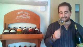 Viognier Grape Explanations [upl. by Jerrol979]