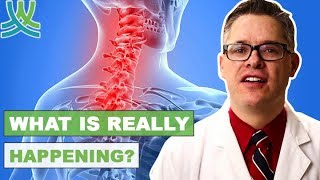 Causes And Symptoms Of Ankylosing Spondylitis [upl. by Ardnama315]