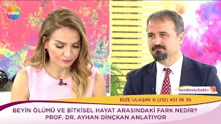 Beyin ölümü ile bitkisel hayat arasındaki fark nedir [upl. by Eemak]