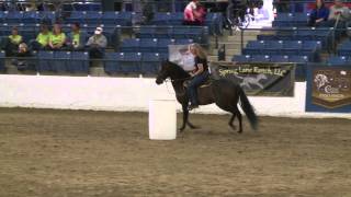 Barrel Racing at the 2013 PFHA Grand National Championship [upl. by Campy55]