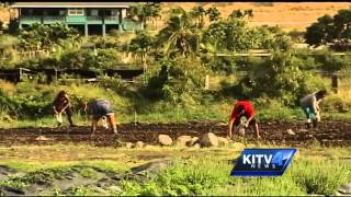 Where You Live Waianae [upl. by Constancia]