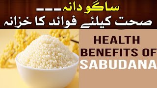 Sagudana Sabudana Health Benefits in Urdu  Sabudana For Healthy Bones And Joints sabudana [upl. by Adnuahsor176]