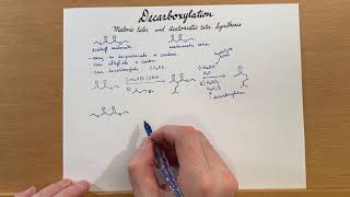 Decarboxylation Malonic Ester and Acetoacetic Ester Synthesis [upl. by Brechtel314]