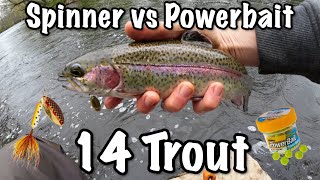 Spinner vs Powerbait 14 Trout Caught  60 Days of Trout Fishing  Day 11 [upl. by Selrahc]