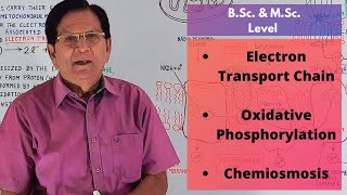 Electron Transport Chain Oxidative Phosphorylation amp Chemiosmosis  BSc amp MSc Level [upl. by Hanoy]