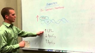 Fibrate Drugs How to Treat Hypertriglyceridemias [upl. by Aylat]