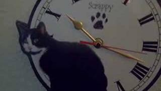 Cat clock [upl. by Roydd600]