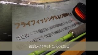 管釣入門キットでバスを釣る 【フライでバス釣り実況19】 [upl. by Rothstein]