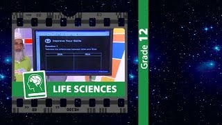 RNA amp Protein Synthesis [upl. by Soutor512]