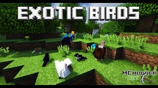 Descargar Mod Exotic Birds 1710 Minecraft [upl. by Howenstein]