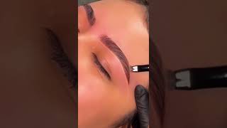 Brow shaping 🧚🏼 brows browshaping eyebrows cejas [upl. by Legge]