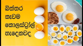 බිත්තර කෑවම කොලොස්ට්‍රෝල් හැදෙනවද  Does eating eggs produce cholesterol  egg [upl. by Bunting]