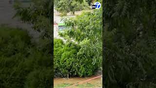 House floats away collapses as Helene leaves North Carolina under water [upl. by Ahsenar]