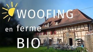 WOOFING  découvrir le maraîchage bio à la ferme [upl. by Gertrudis]