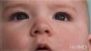 What Your Baby Sees  WebMD [upl. by Divad944]