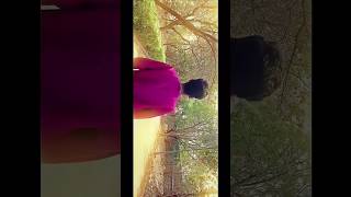 Sairat zala ji 😍 short  shorts sairat viralvideo [upl. by Leaper]