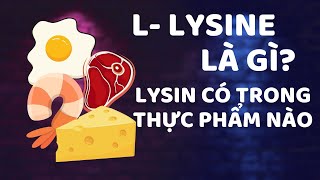 L LYSINE LÀ GÌ LYSIN CÓ TRONG THỰC PHẨM NÀO  AMANO PHARMA [upl. by Ahsiryt]