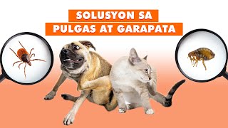 EPISODE 07  GAMOT SA GARAPATA AT PULGAS NG ASO AT PUSA  TICKS amp FLEAS [upl. by Steere]