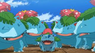 Pokemon Journeys Bulbasaur Evolves Into Ivysaur [upl. by Fraase]