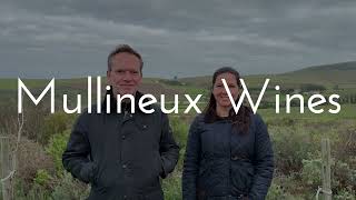 Regenerative Organic Viticulture with Chris and Andrea Mullineux [upl. by Mikaela]