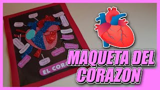 Como Hacer Maqueta Del Corazón ❤❣ [upl. by Jolda]