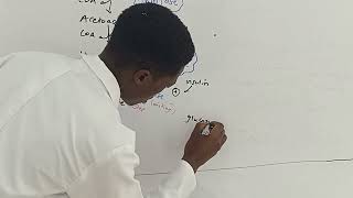 METABOLISM  CHOLESTEROL SYNTHESIS ✍️💯 [upl. by Fari]