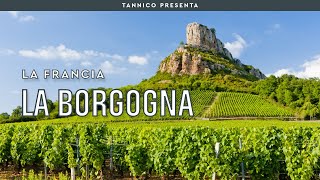 I vini della Borgogna Domaine Vigneron e Grand Cru  Tannico Flying School [upl. by Krystal]