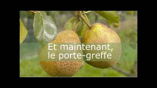 Comment greffer un arbre fruitier [upl. by Innavoij]