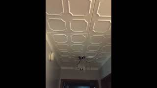 Decorative Foam Ceiling Tiles Glueup Ceiling [upl. by Aizat385]