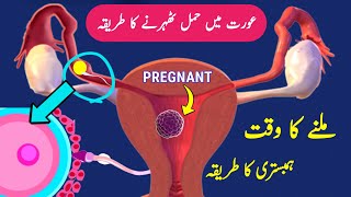 Sperm Egg Fertilization Process Pregnancy kaise Hoti Hai Pregnancy Ovulation Implantation [upl. by Aisirtap]