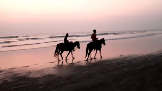 Cox’s Bazar Sea Beach View at Evening time [upl. by Ellennej]