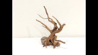 How to make a Bonsai for Aquarium [upl. by Janaye]