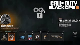 How To Use Permanent Unlock Tokens In Black Ops 6 [upl. by Ardnuyek]