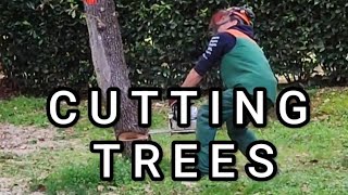 Arborist Cutting Skill Trees cutting agriculutre nature CROTIA EUROPE [upl. by Stepha]