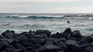 2022 Big Island Hawaii Kahalu’u Beach Surfing [upl. by Ileray]