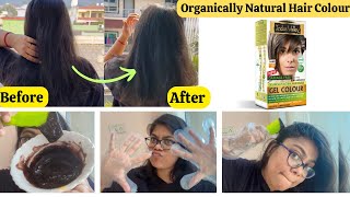 INDUS VALLEY Natural Gel Hair color review  Indus valley hair colour review [upl. by Maribel411]