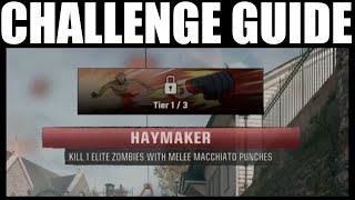 quothaymakerquot challenge guide  How to quotKill 1 Elite zombie with melee macchiato punchesquot  bo6 [upl. by Riem351]