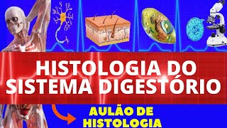 HISTOLOGIA DO SISTEMA DIGESTÓRIO ENSINO SUPERIOR  SISTEMA DIGESTIVO  HISTOLOGIA DIGESTIVA [upl. by Eded683]