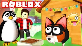 DOG SIMULATOR vs PENGUIN SIMULATOR Roblox [upl. by Noyk762]