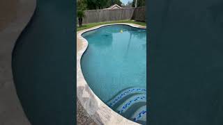 Toscano Pool Plaster  Stonescapes Mini Pebble  Pool Remodel [upl. by Pease576]