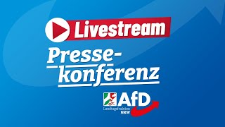 Pressekonferenz AfDInitiativen im Plenum [upl. by Alanson]